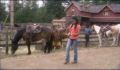 dr dolittle 3-avi_428.jpg